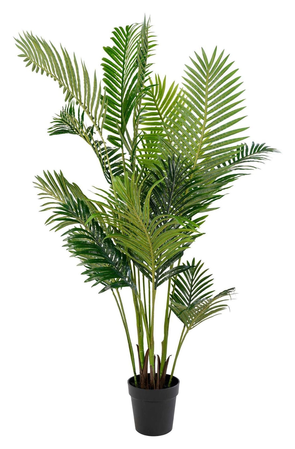 Areca Palme Artificial, H175