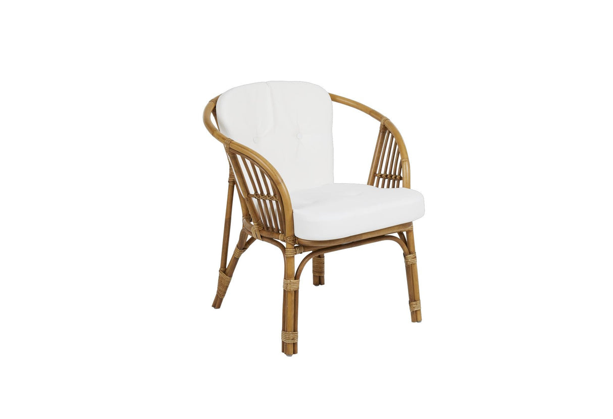 Astrakan Rattan Garden Chair w. Hyde, natur