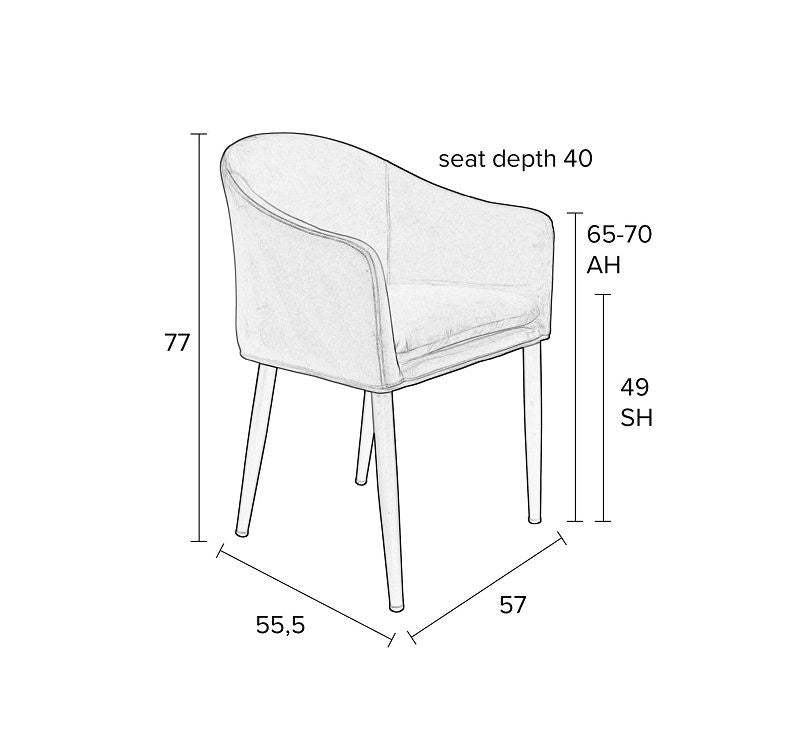 Homii Catelyn Dining Chair m/armlener, grå fløyel