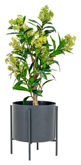 Skimmia kunstig plante, grønn