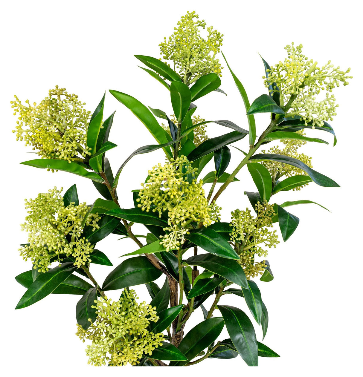 Skimmia kunstig plante, grønn