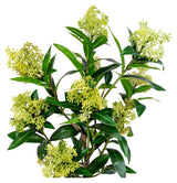 Skimmia kunstig plante, grønn