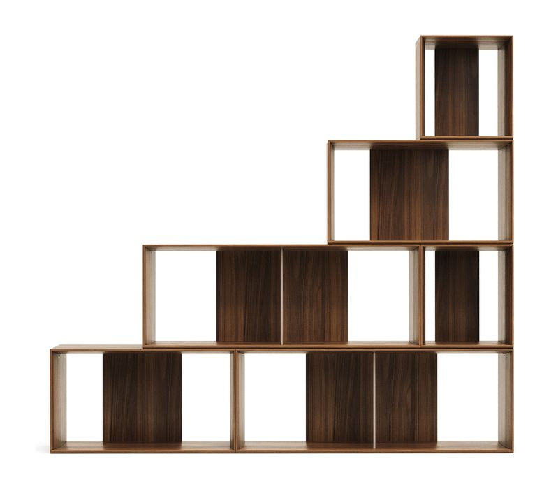 Litto Shelf Set of 6 Modules, Walnut Define, 101x152