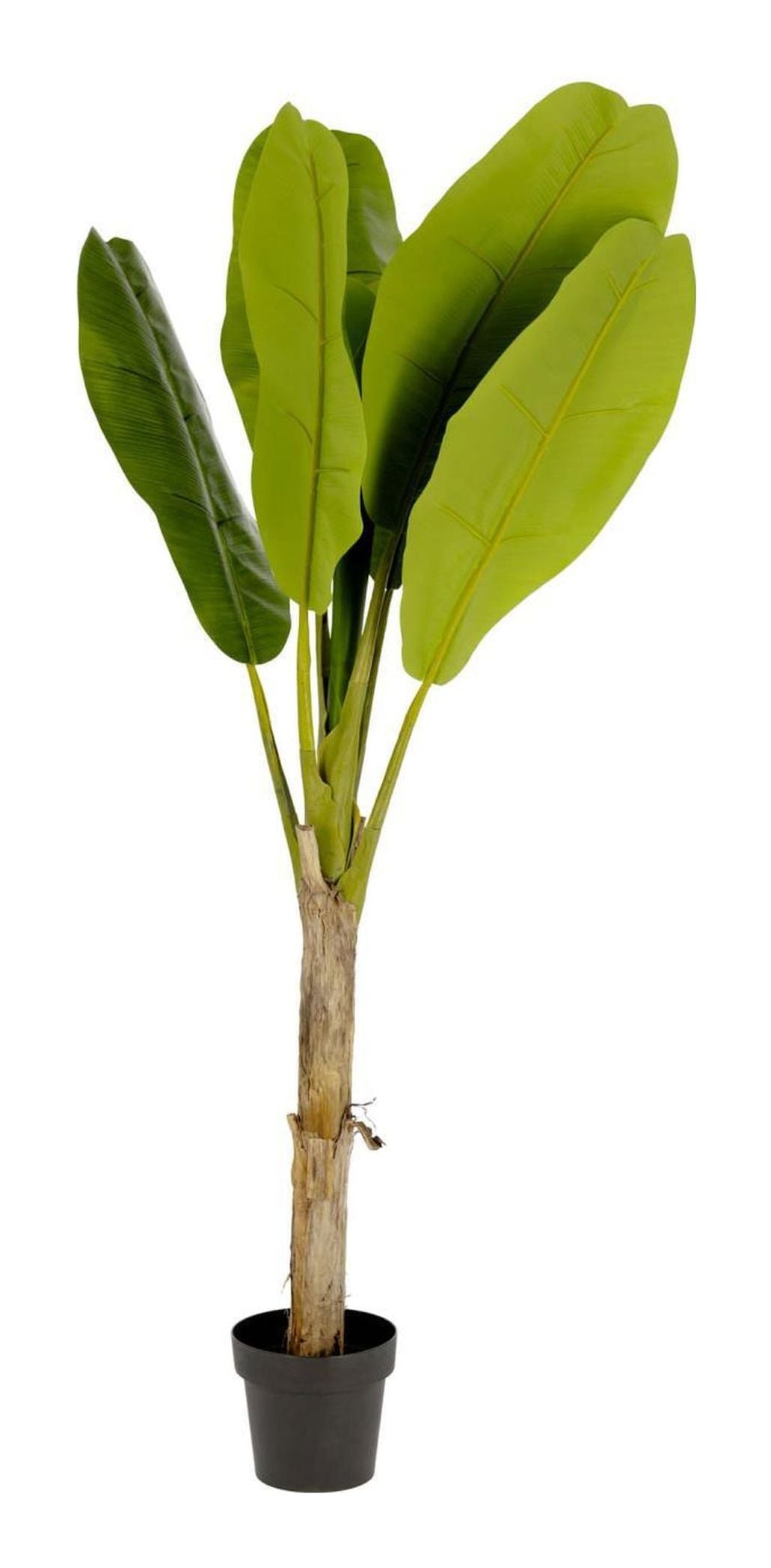 BANANO Kunstig plante, 160 cm 