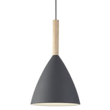 DFTP Pure 20 Pendant Luminaire, Gray