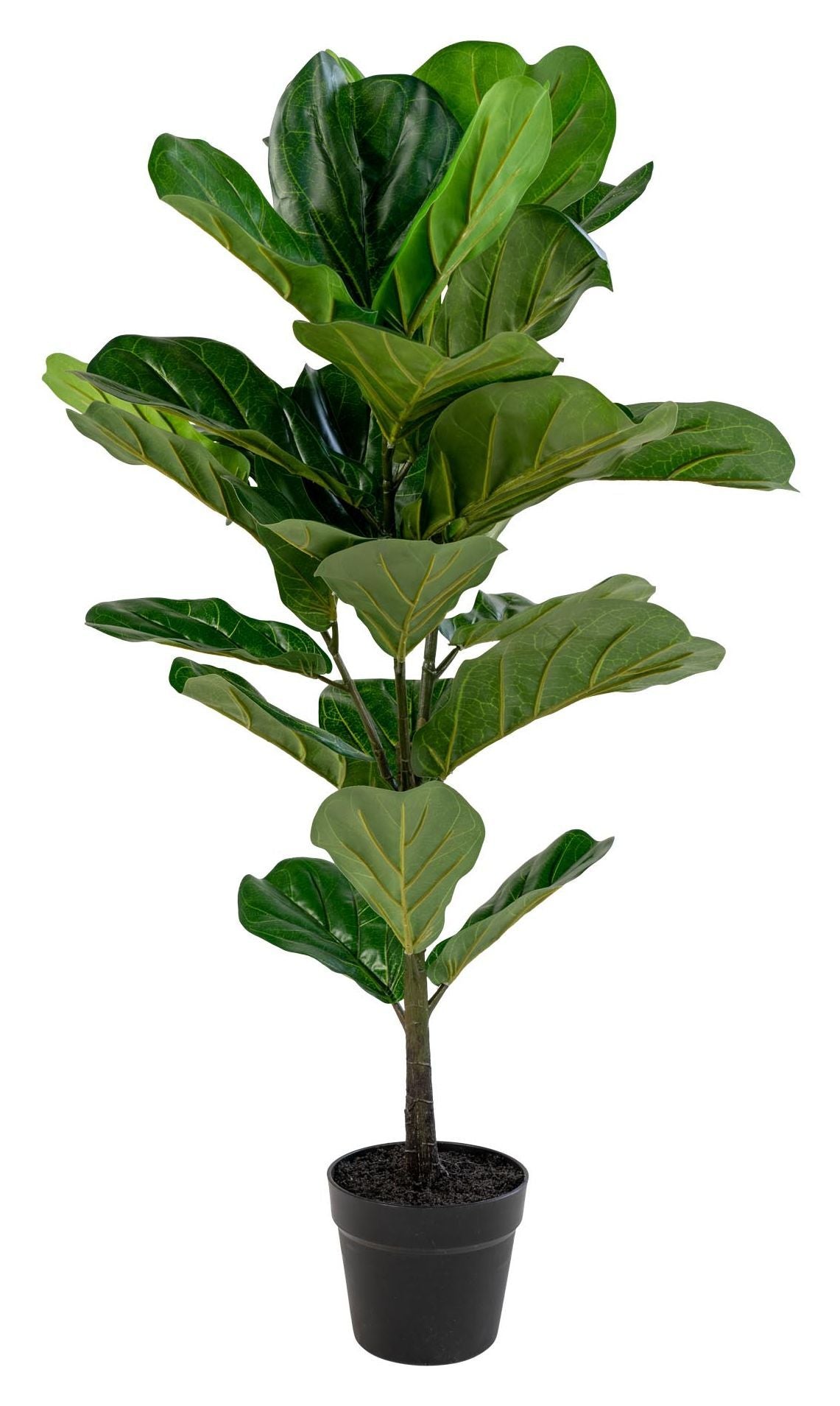 Fiolin fiken kunstig plante, h100