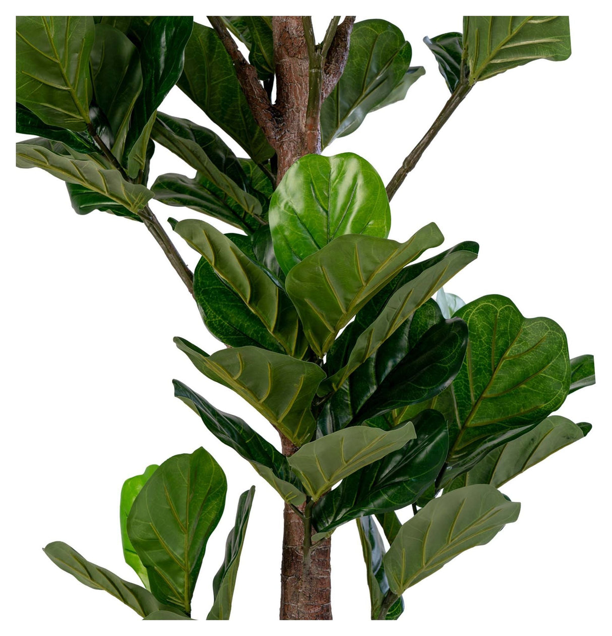 Fiolin Fig Artificial Plant, H190